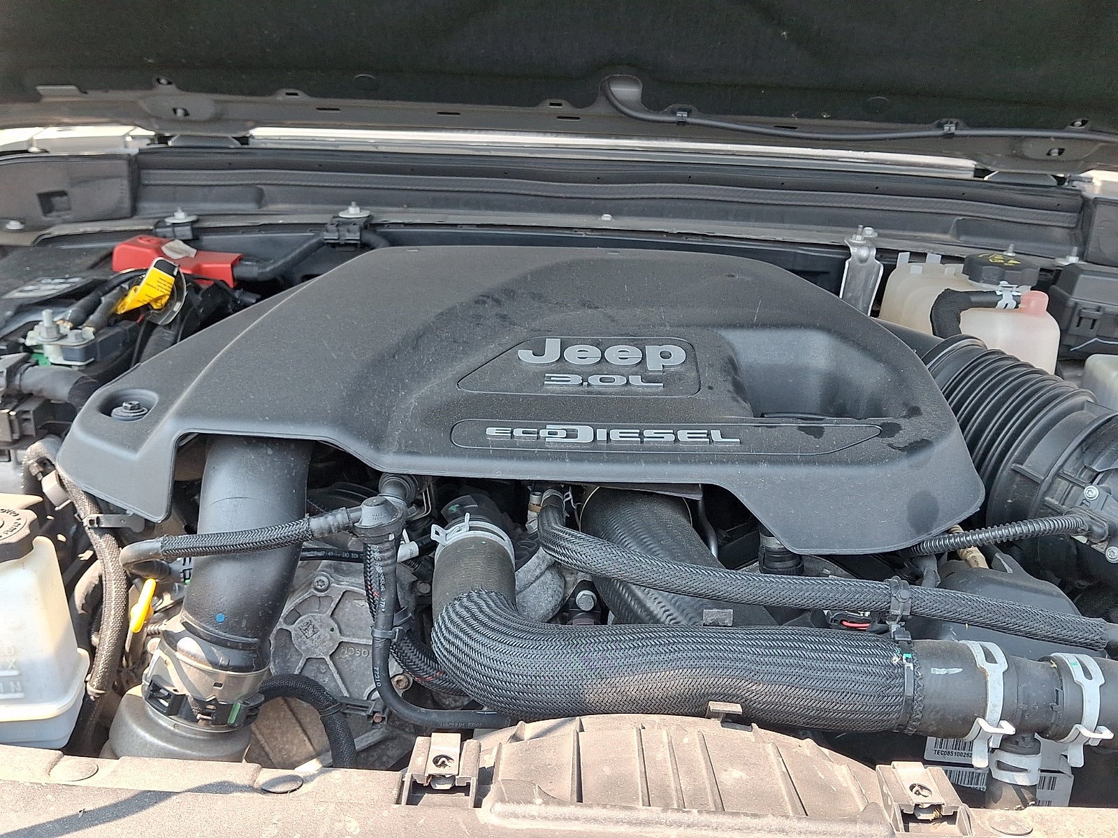 2021 Jeep Wrangler Unlimited Willys 4x4