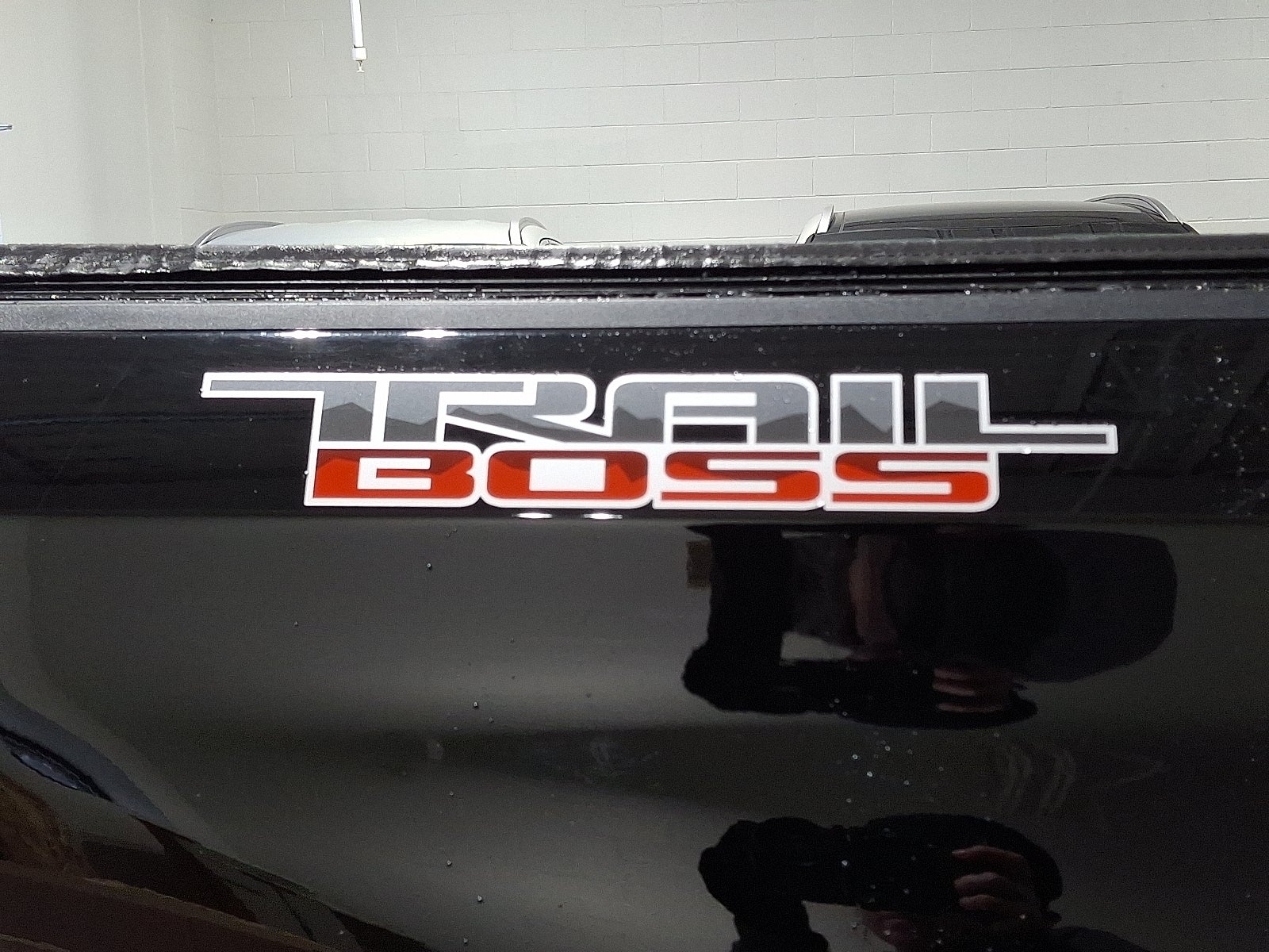 2022 Chevrolet Silverado 1500 LTD Custom Trail Boss