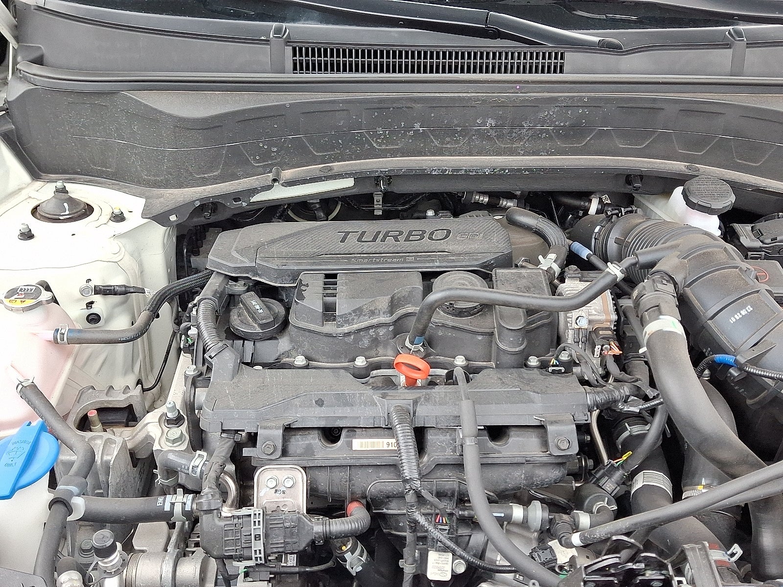 2024 Kia Seltos SX Turbo