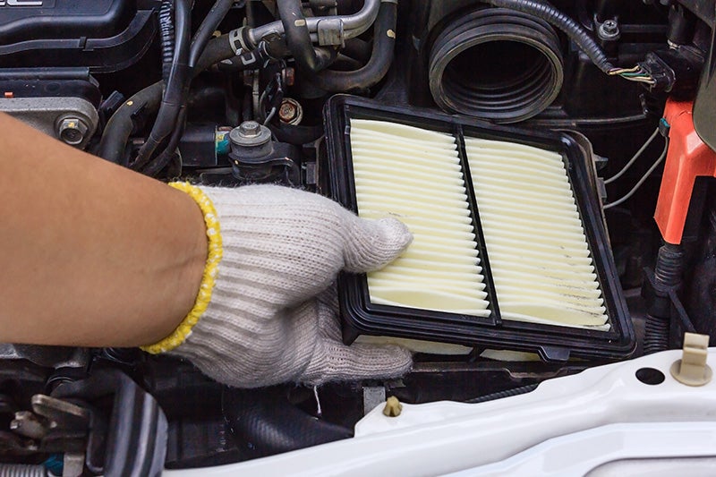 Cabin Air Filter Special